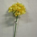 6 x Large Chincherinchee Ornithogalum Yellow Artificial Silk Flowers RRP 7.99 (Per Stem) Pack x6 Stems