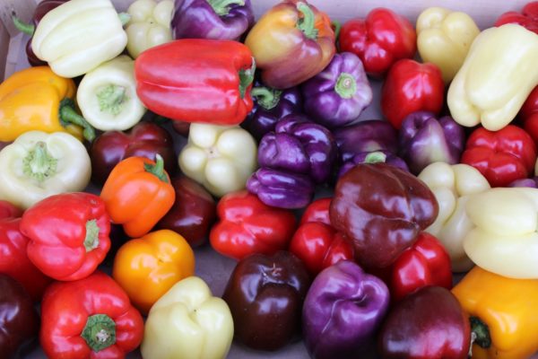 Mixed Random Bell Pepper SEH Seeds Various Colours Vegetable Pack