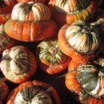 Gourd / Winter Squash 'Turks Turban' Kings Quality Pack Vegetable Seeds
