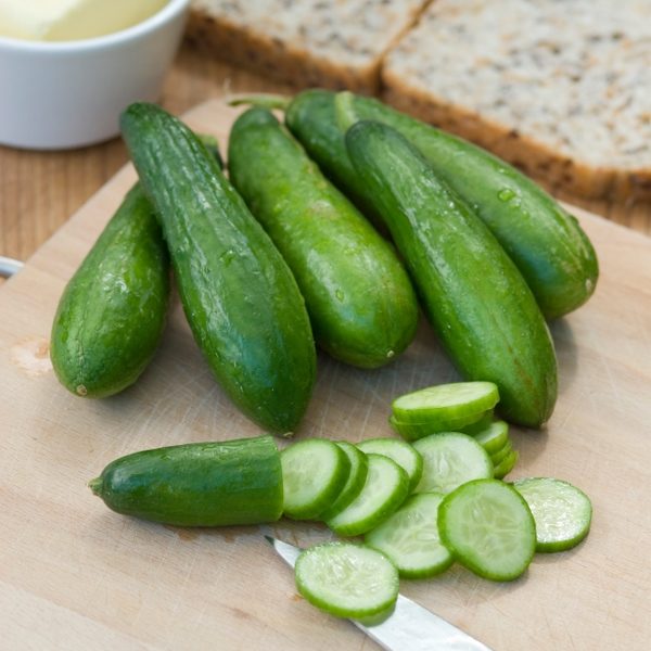 Cucumber 'Mini Munch F1' Pack Kings Quality Vegetable Seeds