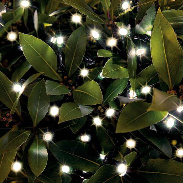 Solar LED String Lights 200 Warm White Dual Power Technology Cole & Bright