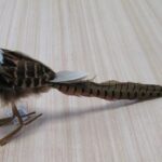 Natural Effect 38cm Long Tail Pheasant Bird Decoration YMB18100 x2