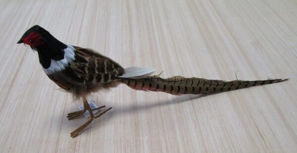 Natural Effect 38cm Long Tail Pheasant Bird Decoration YMB18100 x2