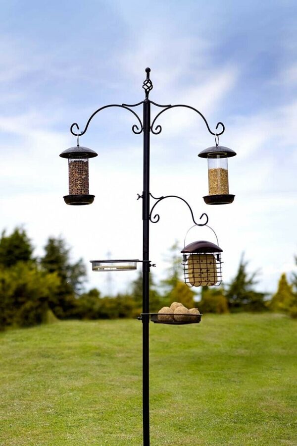 Classic Bird Station Tom Chambers Wild Bird Care BST009