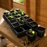 Growing Trays with 18 x 9 cm Pots Pack x3 trays & Pots (54) Gardman