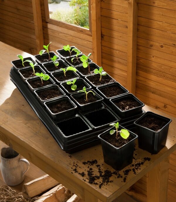 Growing Trays with 18 x 9 cm Pots Pack x3 trays & Pots (54) Gardman