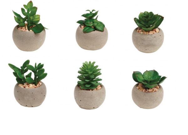 Small Artificial Succulent Pot Plants Set x6 Gardman