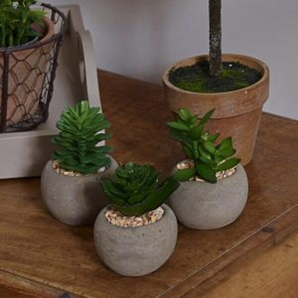 Small Artificial Succulent Pot Plants Set x6 Gardman