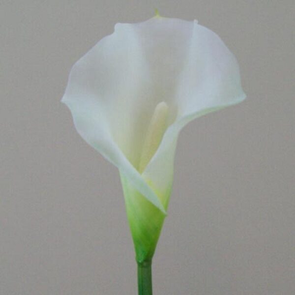 White/ Ivory Large Calla Lily Artificial Flowers 66cm Pack 12 Stems