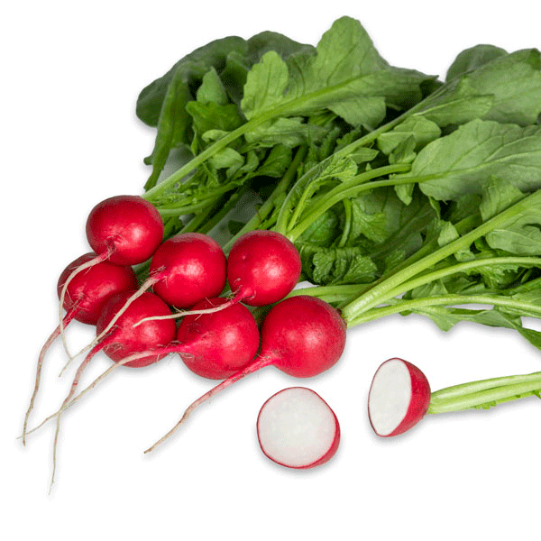 Radish Crunchy King F1 Pack Quality Seeds Vegetable/Salad