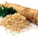 Horseradish Root/Thong Quality Bulbs & Vegetables Pack x2