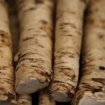 Horseradish Root/Thong Quality Bulbs & Vegetables Pack x2