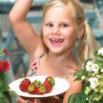 Strawberry 'Summer Breeze Snow' Pack x6 Plug Plants