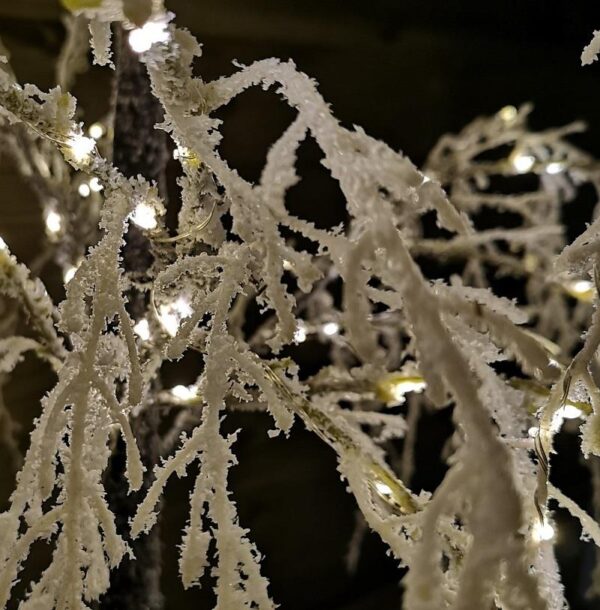 180cm Christmas Flocked Willow Tree 200 Warm White Lights & Flash Function Premier