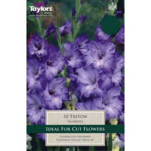 Gladioli Large Flowering 'Purple Flora' Pack x10 Bulbs/Corms