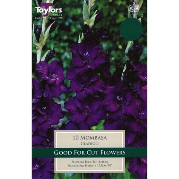 Gladioli Large Flowering 'Mombasa' Pack x 10 Bulbs/Corms