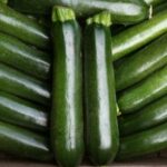 Courgette 'Midnight F1' Vegetable Plug Plants Pack x6