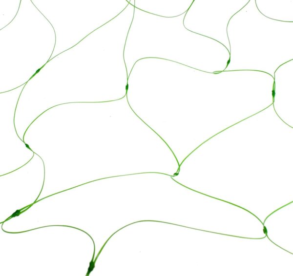 Pea & Bean Netting - 5m x 2m Garden Climbing Support
