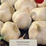 Topadrome French Garlic Bulbs Pack x 2 Cloves