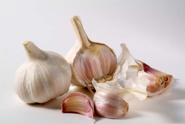 Thermidrome French Garlic Bulbs Pack x 2 Cloves