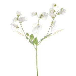Sweet Peas Ivory Artificial Silk Flowers Pack x6 Stems