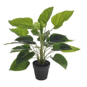 Angel Wings Plant / Bush Artificial Silk Flower Potted Plant 55cm Tall