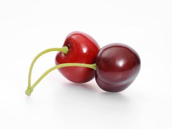Pack 6 Artificial Fruit Red/Black Cherry Sprig x2 (12 Cherries)