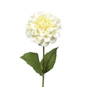 Cream Zinnia Artificial Silk Flowers Pack x 12 Stems