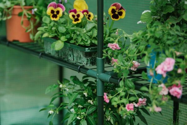 Gardman Greenhouse Growhouse Premium Walk-In +Shelf 195cm x 143cm x 143cm