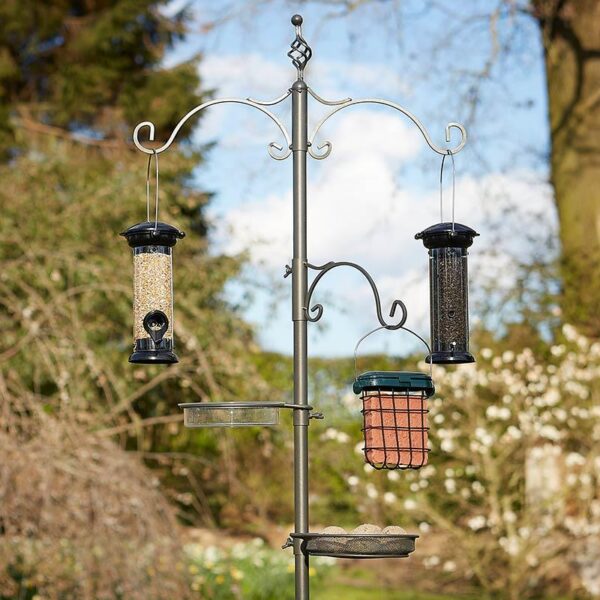 Tom Chambers Pewter Classic Feeding Station
