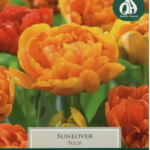 Tulip Double Darwin Hybrid 'Sunlover' Pack x9 Bulbs