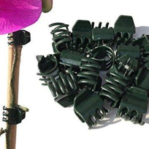 Lorbex Orchid Clips / Orchid Plant Support Standard Green Pack 20