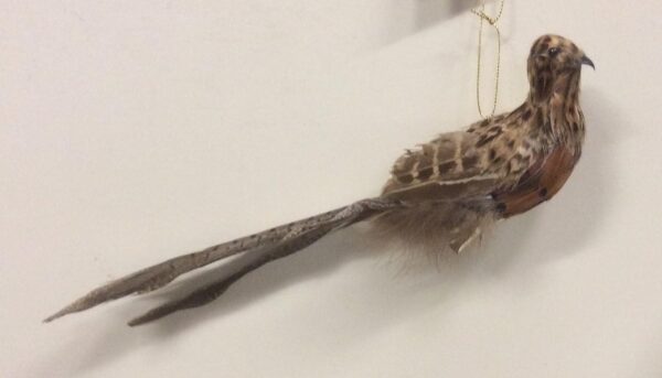 2 x Natural Feather Pheasant / Bird Christmas Decorations Clip On 10''