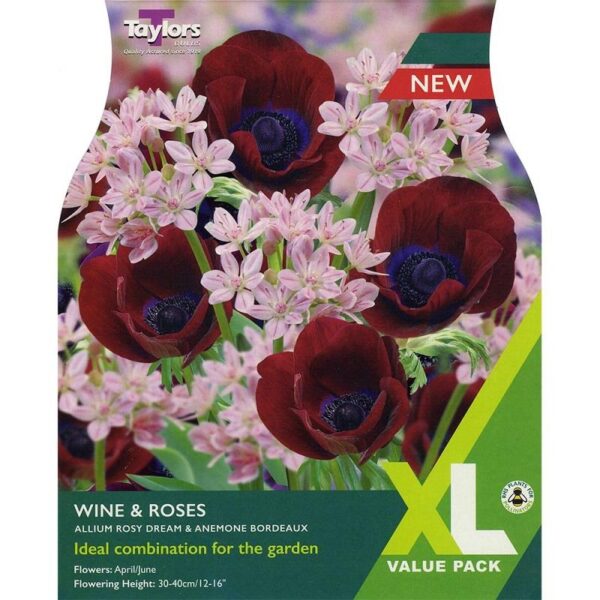 'Wine & Roses' Combination Bulbs Value Pack x14 Spring bulbs