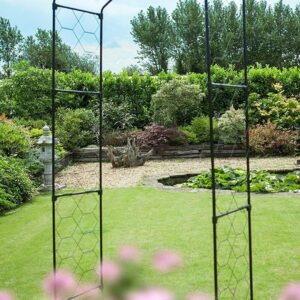 Tom Chambers Heligan Black Powder Coated Steel Garden Flower Arch GA014