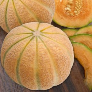 Melon 'Malaga' F1 Pack King's Quality Seeds