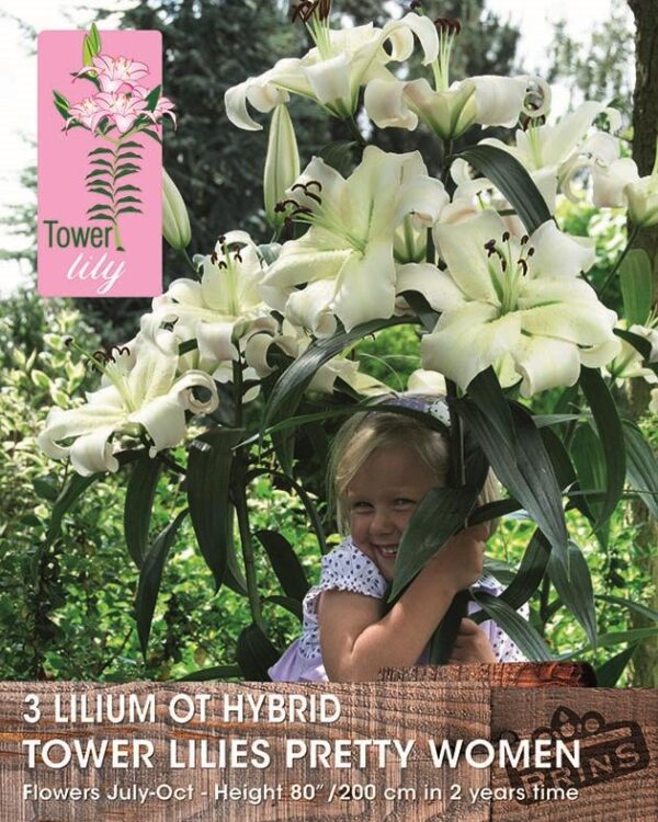 Tower / Skyscraper Lily 'Pretty Woman' WPC Prins Bulbs & Tubers Pack x3