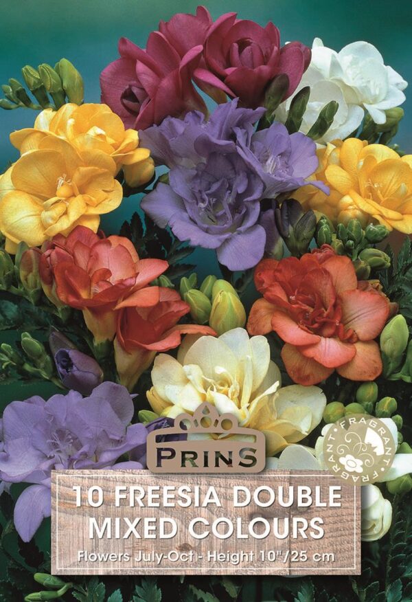 Freesia Double Mixed WPC Prins Bulbs & Tubers Pack x20
