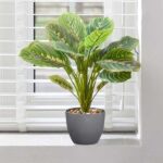 Prayer Plant / Bush Artificial Silk Flower Potted Plant Approx 33cm Pot