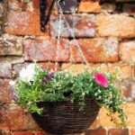 14in Rattan Hanging Basket Smart Garden