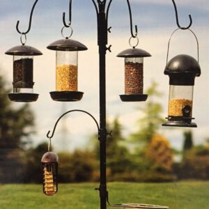 Select Bird Station Tom Chambers Wild Bird Care BST026