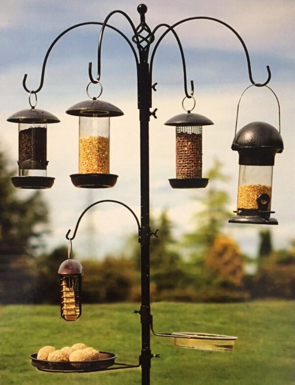 Select Bird Station Tom Chambers Wild Bird Care BST026
