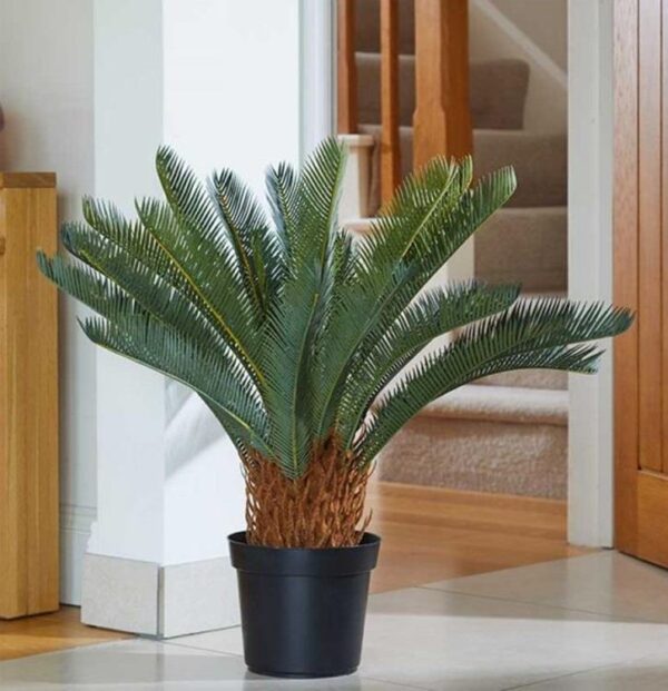 Artificial Houseplant Sago Palm 79cm Potted