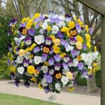 Trailing / Spreading Pansy Cool Wave® Mix Plug Plants Pack x6