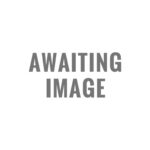 Ornithogalum Arabicum' WPC Prins Quality Bulbs/Tubers Pack x3