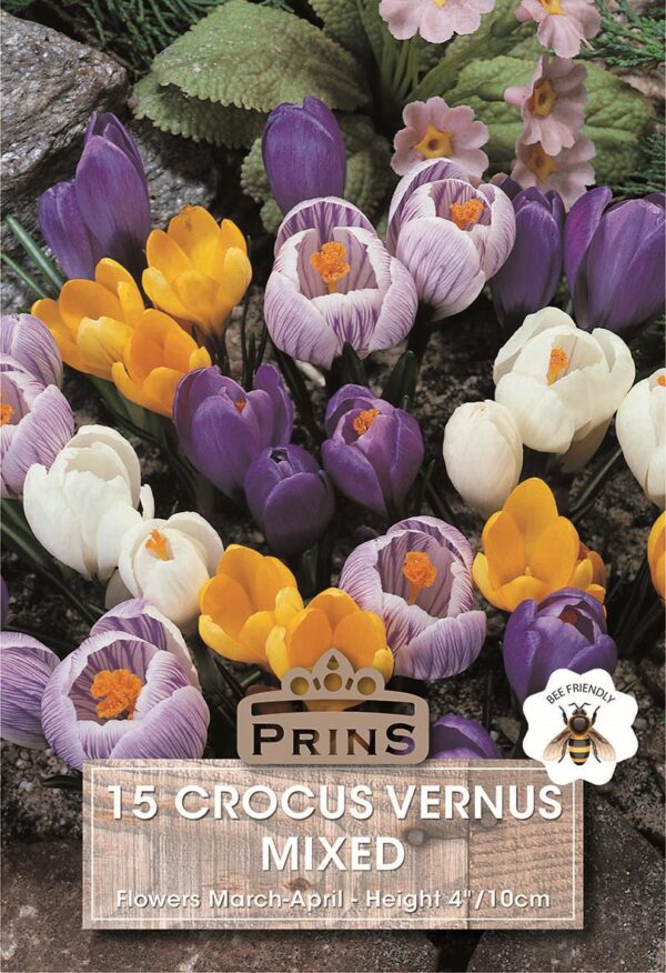 Crocus Bulbs 'Mixed' WPC Prins Quality Spring Bulbs Pack 15