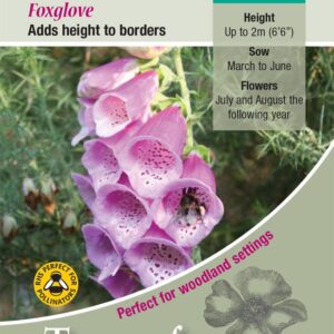 Common Foxglove 'Digitalis Purpurea' Perennial Pack Flower Seeds