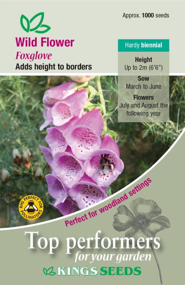 Common Foxglove 'Digitalis Purpurea' Perennial Pack Flower Seeds
