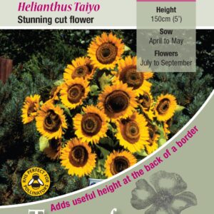 Sunflower 'Taiyo' King Quality Flower Seeds