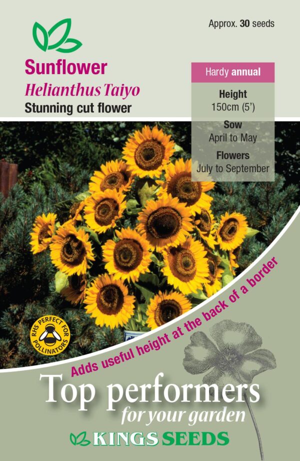Sunflower 'Taiyo' King Quality Flower Seeds